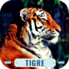 Tiger Roar icon