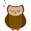 Sleeping Owl Widget icon