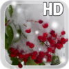 Winter Berry Live Wallpaper icon