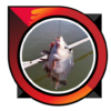 accurate bait freshwater fish icon