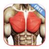 Best Chest Routine Workout icon