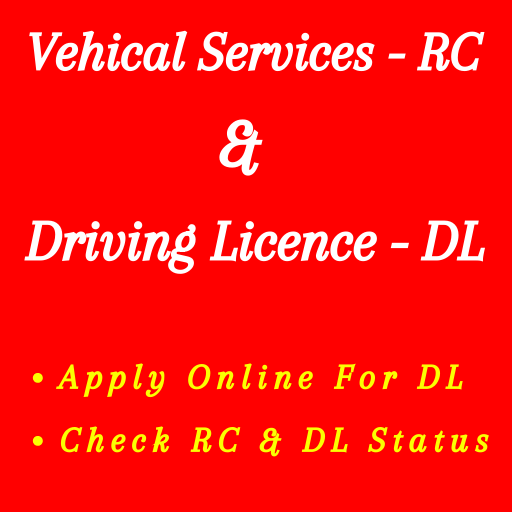 Driving License and Status icon