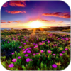 Sunset Meadow HD Wallpaper icon