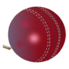 Cricket News Feeds icon