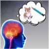 Memory Games: memory test , Brain Training icon