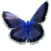 Puzzle Butterfly icon