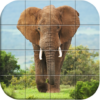 Wildlife Puzzle icon