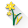 Daffodils World School Students App icon