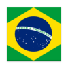 Beginner Brazilian icon