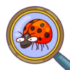 Hidden Objects Fantasy World icon