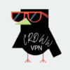 Croww VPN Secure Fast Access icon