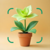 Plante: AI Plant Identifier icon