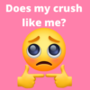 Does My Crush Like Me? Does He Or She Like You? icon