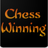 Chess Games Anand vs Carlsen Masters game play icon