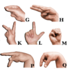 American Sign language for Beginners icon