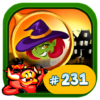 # 231 Hidden Object Game New Free Puzzle The Witch icon