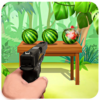 Watermelon Shooting Gun Game 2019 icon