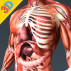 Human Anatomy And Physiology icon