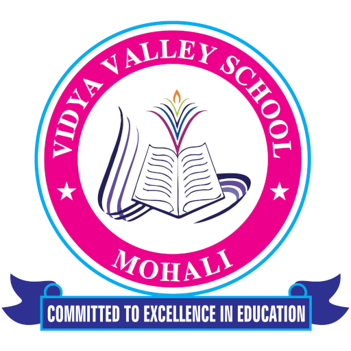 Vidya Valley School icon