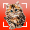 Cat breeds Smart Identifier icon