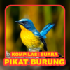 Suara Burung: Pikat & Masteran icon