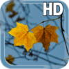 Autumn LWP icon