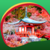 Japan Beauty Live Wallpapers icon