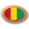 Guinean apps icon