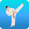 Karate Workout At Home icon