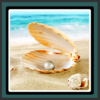 Live Wallpapers – Shell icon