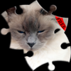 Puzzle Cats icon