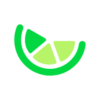 Lime icon