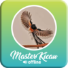 Master Kicau Burung Offline icon