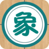 象棋巫师 icon