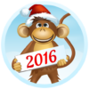 Year of the Monkey Free LWP icon