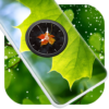 Leaf Clock Live Wallpaper icon