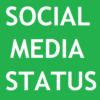 Social Media Status icon