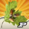 Purdue Tree Doctor icon