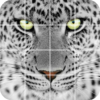 Tile puzzle Wild animals icon