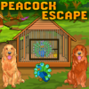 469Peacock Escape icon