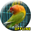 MP3 Lovebird Paud Offline icon