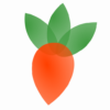 Veggie Garden Planner icon