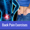 BACK PAIN EXERCISES icon