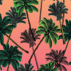 Tropical Wallpaper icon