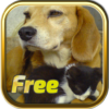 Free Dogs and Cats Puzzles icon