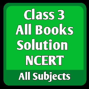 class 3 solution icon