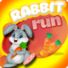 Rabbit Run icon