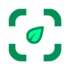 Plant identifier from photo icon