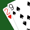 29 Card Game Expert AI icon