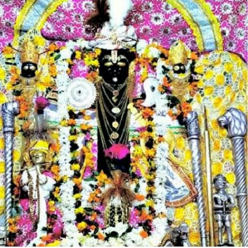 shree roopnarayan ji mandir icon